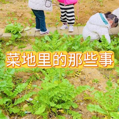 中五班第五周精彩回顾