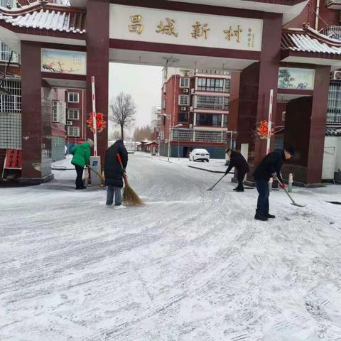 昌城村两委组织“扫雪除雪”志愿服务