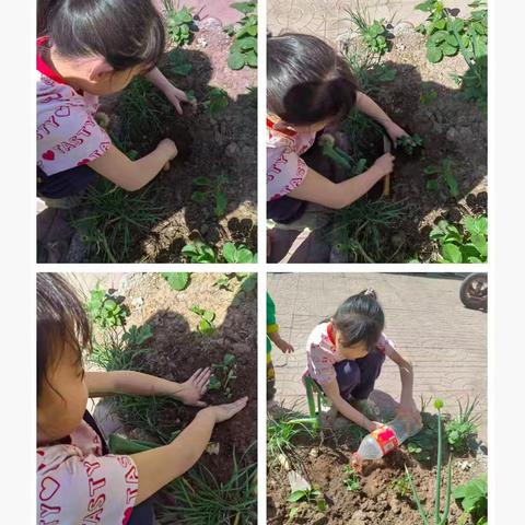小满时节，共赴田园之约 祁城学校