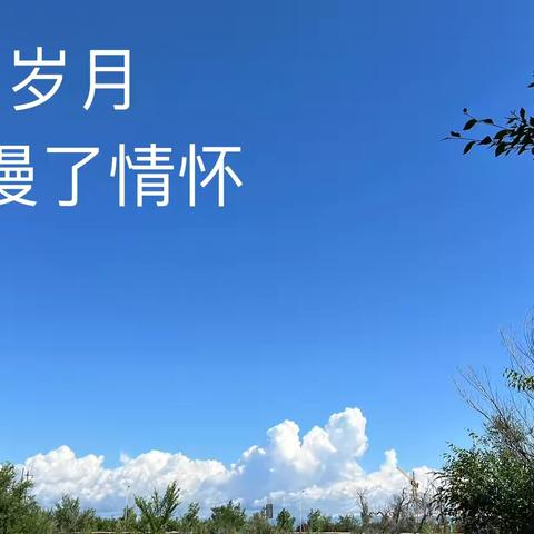 龙风对联习作——胡秀霞对句集