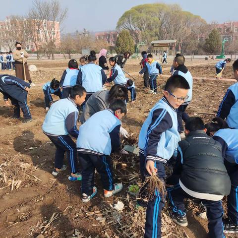 上园镇三年一班劳动实践活动