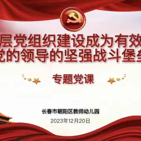 把基层党组织建设成为有效实现党的领导的坚强战斗堡垒              ——教师幼儿园党支部书记讲专题党课