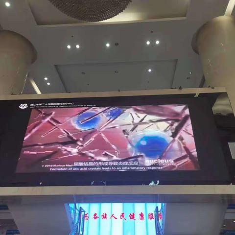 【420世界痛风日】通辽市第二人民医院开展“世界痛风日”科普义诊活动圆满结束