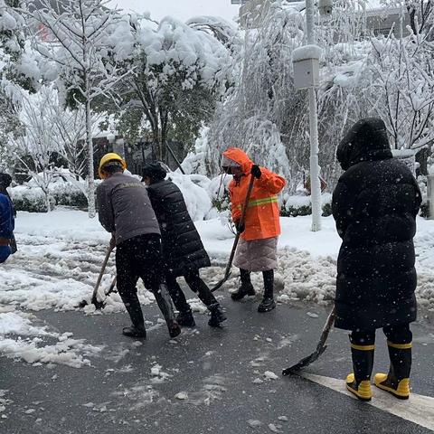 冬日暖人心，扫雪我先行