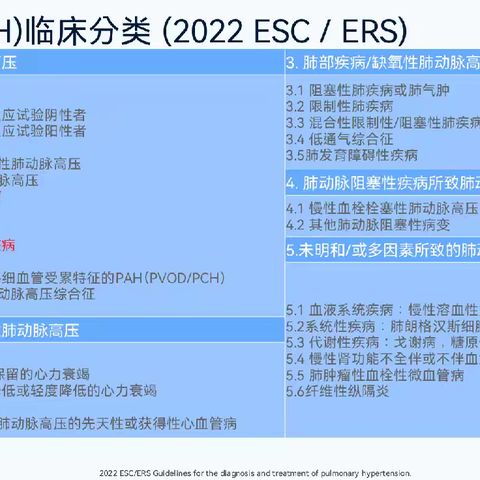 新技术，“心”突破：阜阳市二院成功完成全市首例经皮肺动脉去神经术（PADN），为肺动脉高压患者打通“生命通路”！