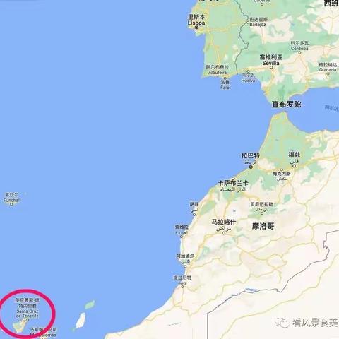 西班牙特内里费（Tenerife）之行