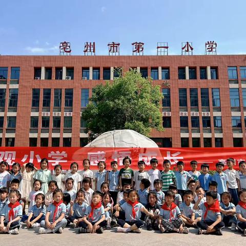 初探小学，赴一场“成长之约”——亳州市第一小学幼小衔接活动