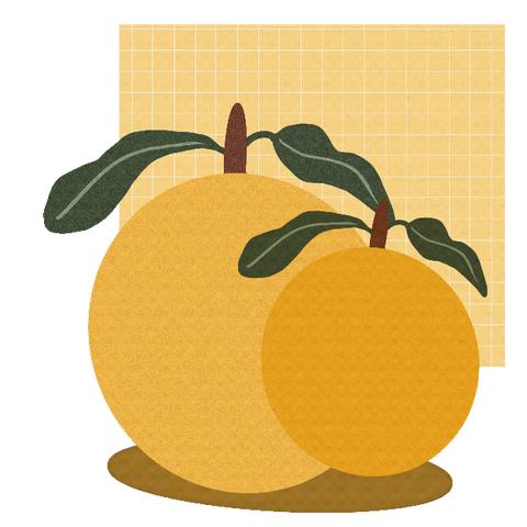 —小1班“探秘橘子🍊”