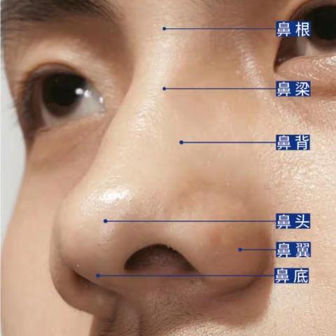 【保护鼻子 我们一起行动】  新迪幼儿园中班