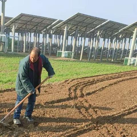 完善的新人应该是在劳动之中和为了劳动而培养起来的—三门峡市实验高中开展劳动实践