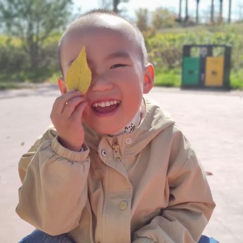 宝塔区第四幼儿园故事口袋——《圆圆国王》