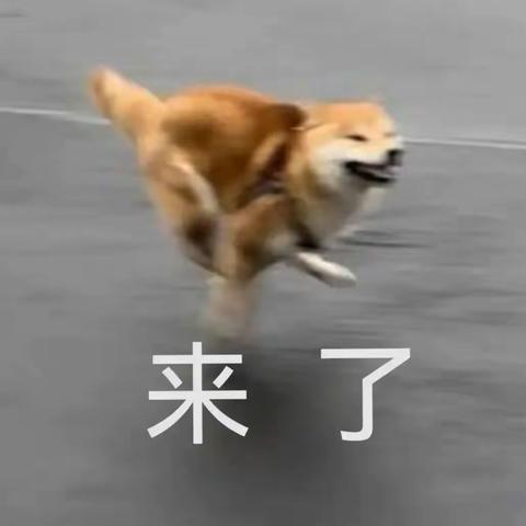 7年憋出最强头显，苹果 Vision Pro 一夜封封神！库克贡献将超越乔布斯？