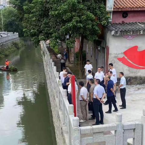 台江区瀛洲街道开展河长日巡河