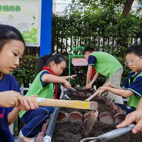 播撒期许   收获蜕变 【民富•劳动】