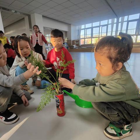 《小小植物，我来照顾——植物角篇》