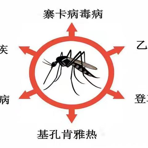 基孔肯雅热VS登革热，防控要点一次说清！