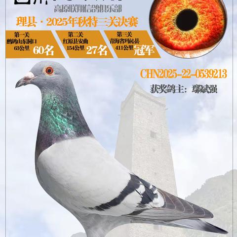 四川省阿坝州高原联翔信鸽协会