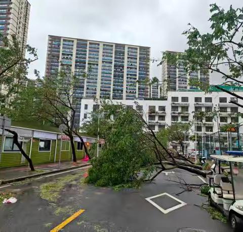 “清障护航”进行时！东岸社区多方联动恢复台风“剑鱼”灾后道路通行