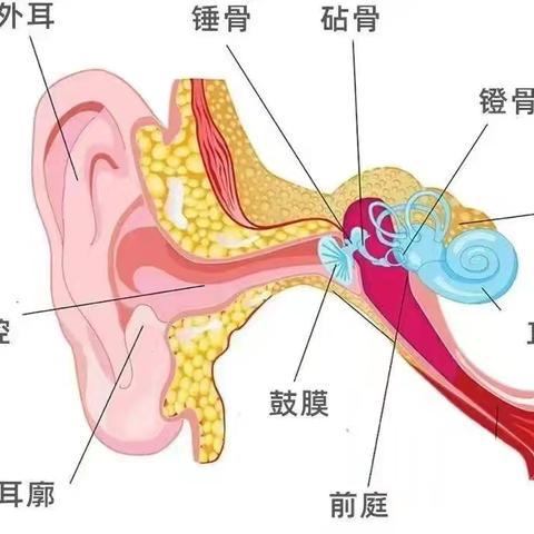 保护小耳朵 聆听大世界