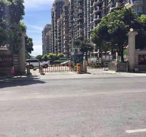 为民解忧办实事，小区修路暖人心