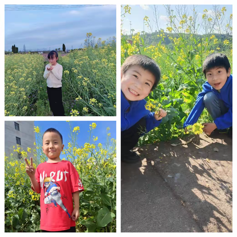 春日好时光，俱是看花人——白阳小学106班春日实践活动