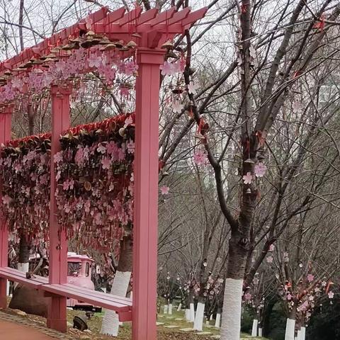 读万卷书 不如行万里路