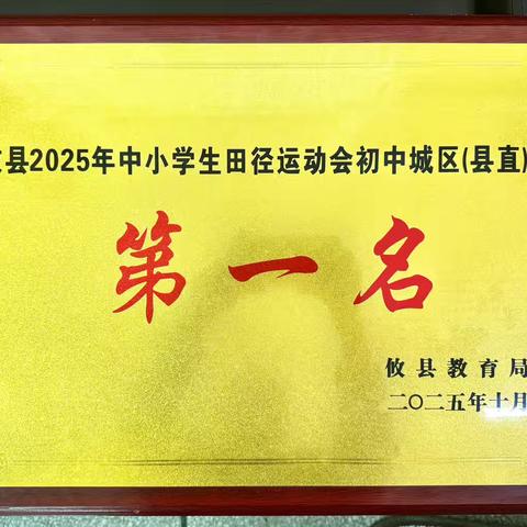 热血“燃”青春 少年正芳华——叮咚，你有一篇县运会推文，请查收！