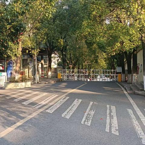 艺术设计学院（同福小学实习点）实习第四周总结