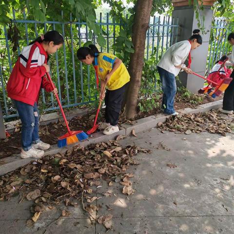 师生齐劳动 美化我校园