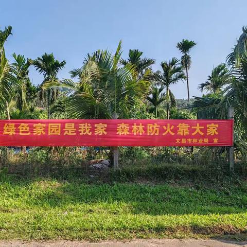 2025文城清澜森林资源监测站清明节开展森林防火巡查工作