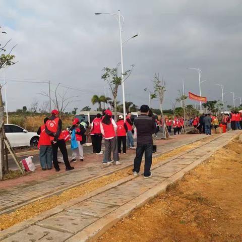 清澜森林资源监测站植树节活动纪实：增绿提质护雨林，共建美丽新海南