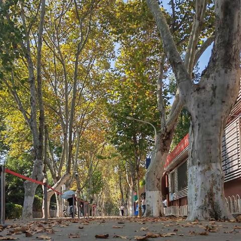 不负冬日好时光 国培教研助成长——祁阳市自主选学魏爱萍小学语文工作坊（A1151-7）第四次线下集中研修