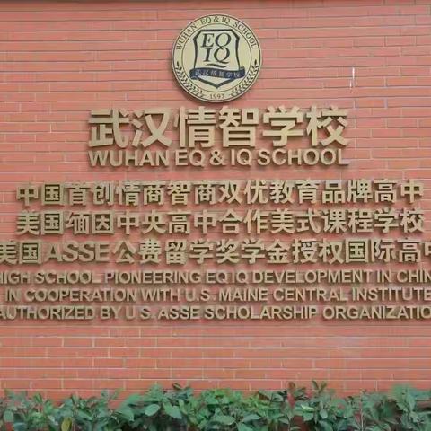 情智书法小专业，助我完成大学梦