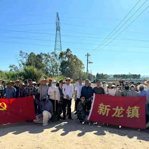 冬修水利备春耕 引入活水惠民生——新龙镇组织党员干部开展“冬修水利”主题党日活动