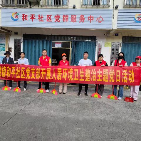 和平社区党支部开展人居环境卫生整治主题党日活动