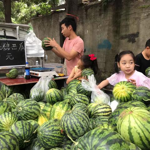 夏天就是西瓜做的一场梦！