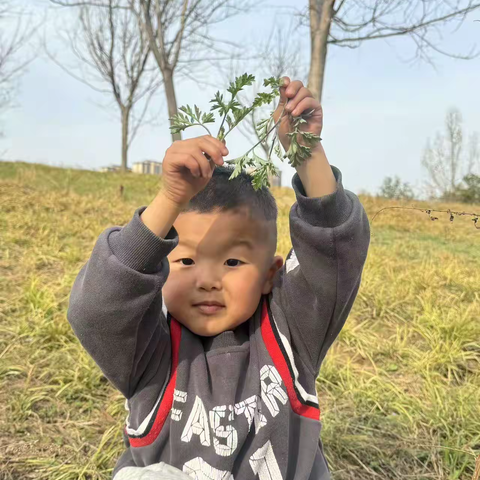 "食"光里的欢乐派对 ——清明节气食育课程艾草炒鸡蛋