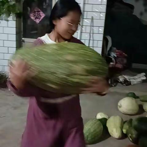 金秋收获节：劳动绘就的美好画卷