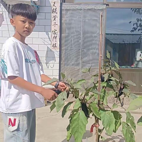 小学金秋收获节：劳动绘就成长画卷
