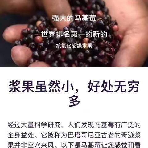 QuiAri专利配MaquiX提升马基莓抗氧化值10倍