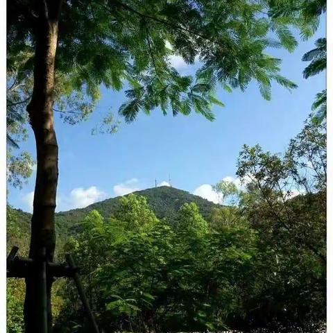 青山隐隐，绿水青山