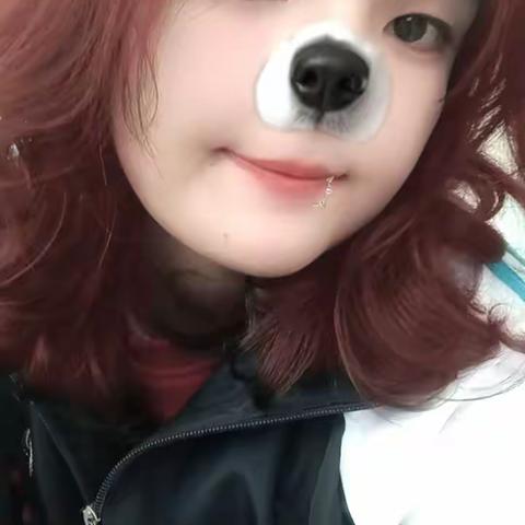 春风有你旅行社