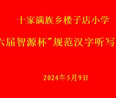 十家满族乡楼子店小学       第六届智源杯“规范汉字听写大赛”