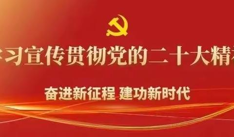 暖心为民办实事，志愿清雪我先行