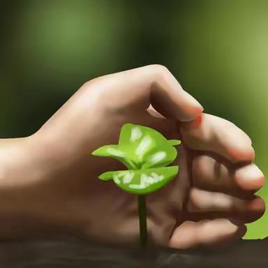 曲亭小学预防校园欺凌 致家长的一封信