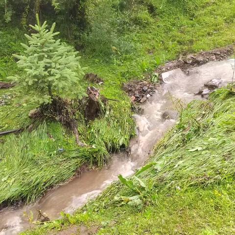 八月守护绿野：防汛巡山两不误