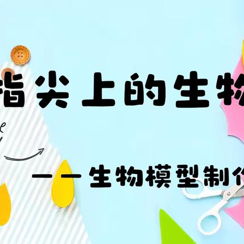 指尖生物 “胞”罗万象 ‍——乌海市第六中学生物模型制作大赛活动纪实