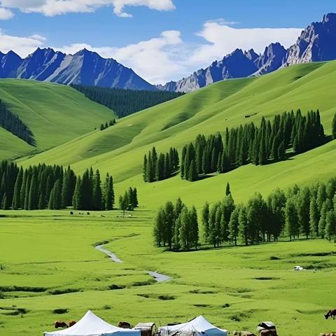 忘不掉了 旅行社