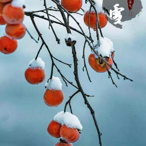 大二班《小雪》主题活动 ——  岁月冬韵，初如心雪