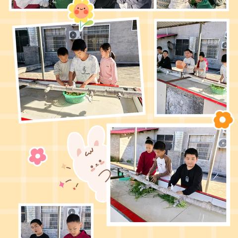 烟火润童心，劳动促成长 ——五年级2班烹饪实践记